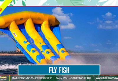 Fly Fish - Bali Promo Watersport - Copy